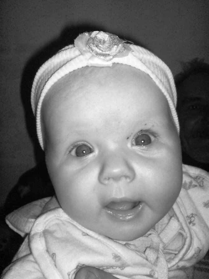 jhk,njk,b n,hbu - оригинал