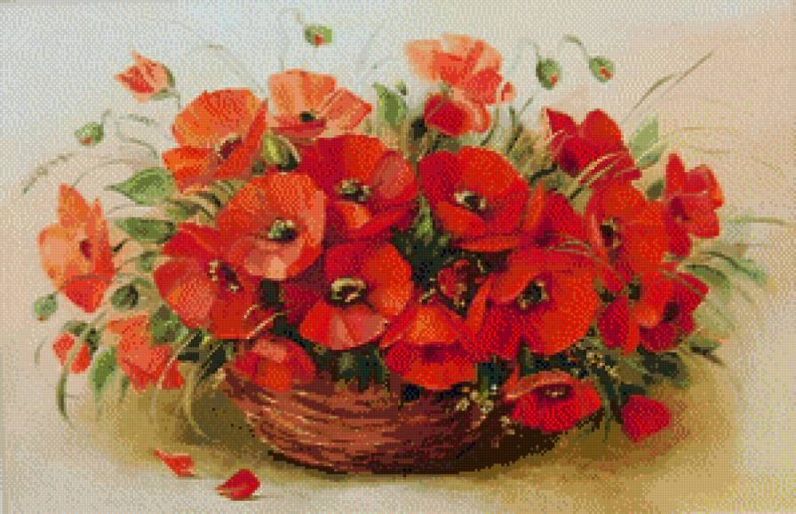 маки в корзине - цветы - предпросмотр