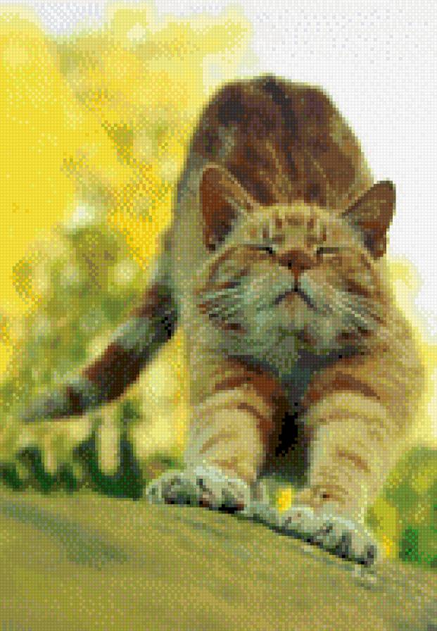 Кот - кот, кошка - предпросмотр