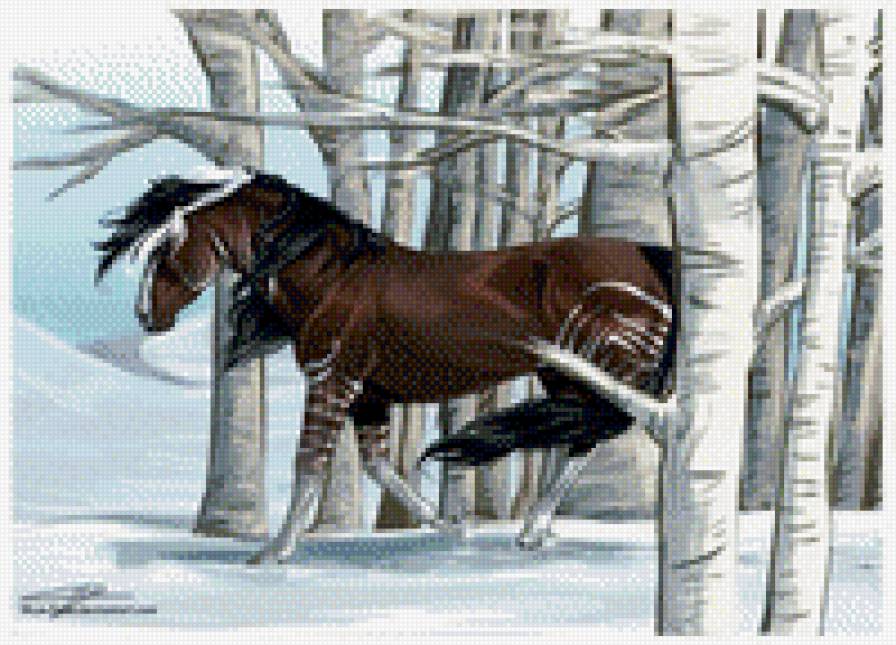 Конь в лесу - лошади, лес, снег - предпросмотр