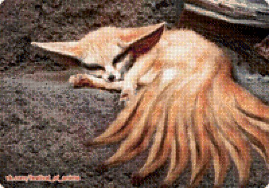 девятихвостый лисёнок - рижий, маленький, ня - предпросмотр