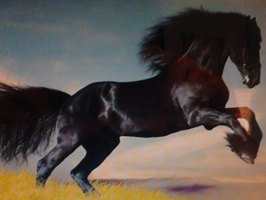 конь - оригинал