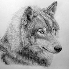 Схема вышивки «серый»