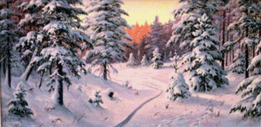 закат в лесу - лес, природа, закат, пейзаж, ели, зима - предпросмотр