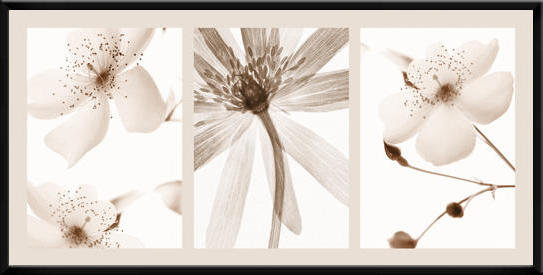 gelyte - оригинал