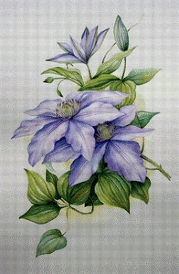 цветы - предпросмотр