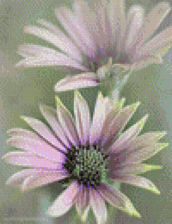 №545570 - цветы - предпросмотр