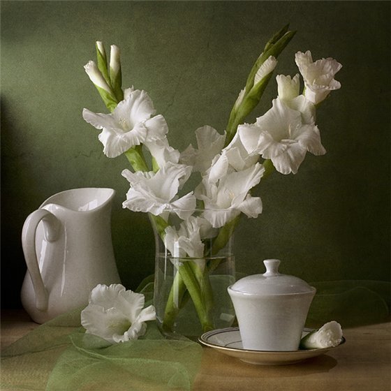 натюрморт с белыми гладиолусами - картины, картина, натюрморт, цветы - оригинал