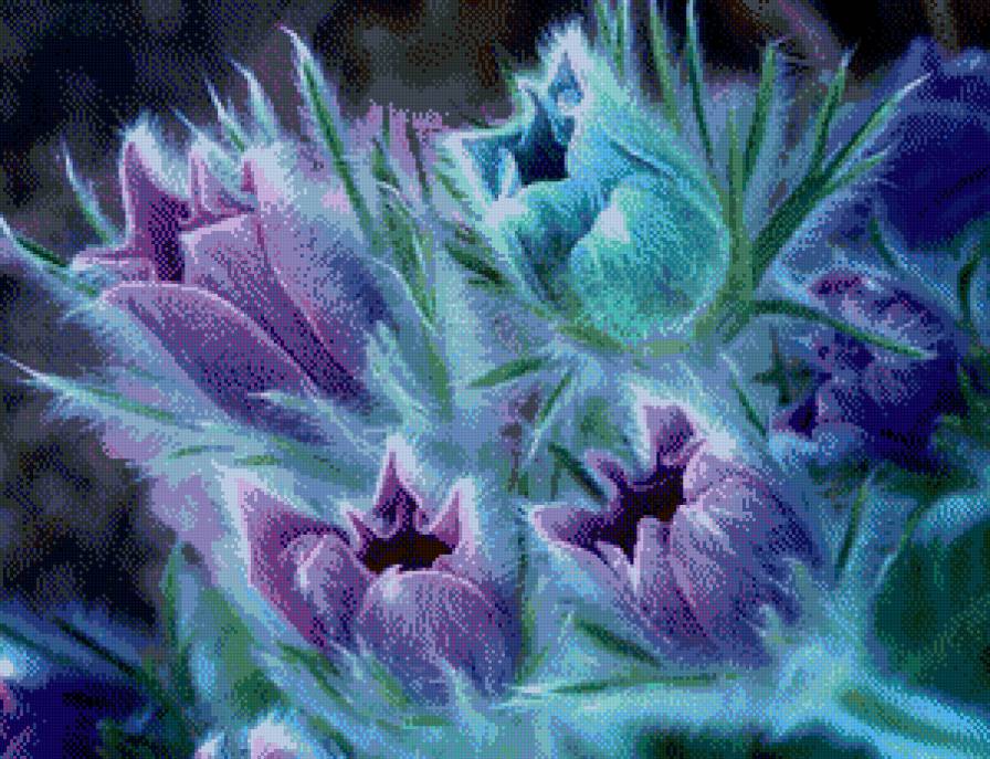 №545629 - цветы - предпросмотр