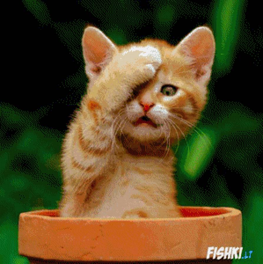 katyte - предпросмотр