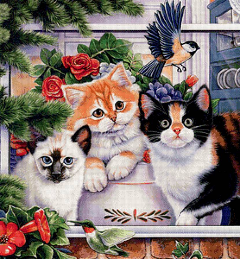 Домашние питомцы - птички, кошки, животные, цветы - предпросмотр