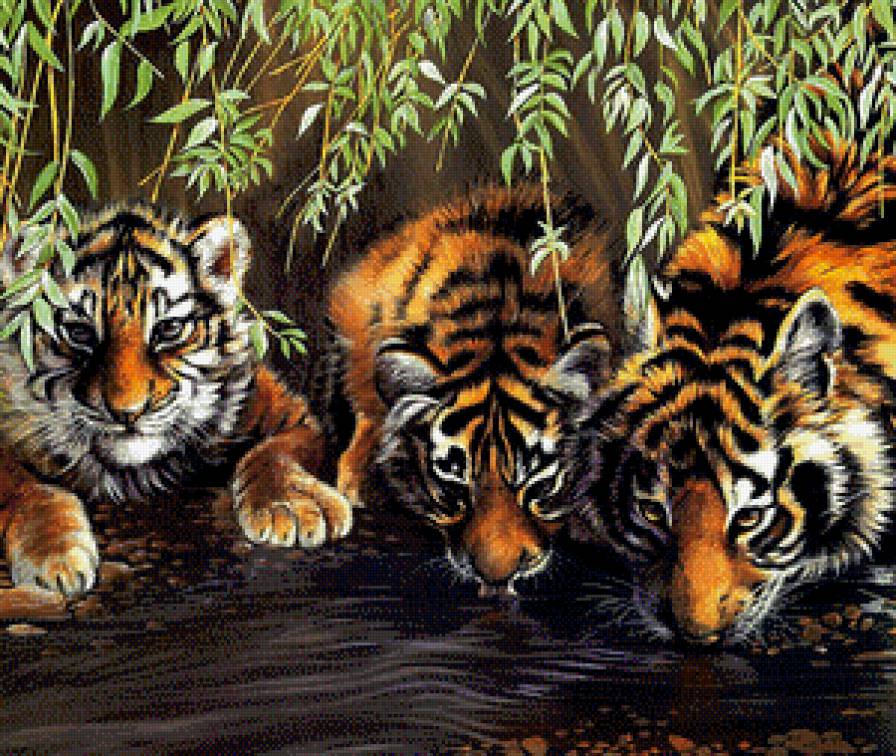 Тигрята - тигрята, животные, тигры - предпросмотр