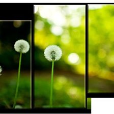 Схема вышивки «№546072»