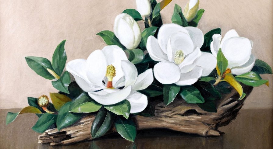 натюрморт с магнолией - натюрморт, картина, картины, цветы - оригинал