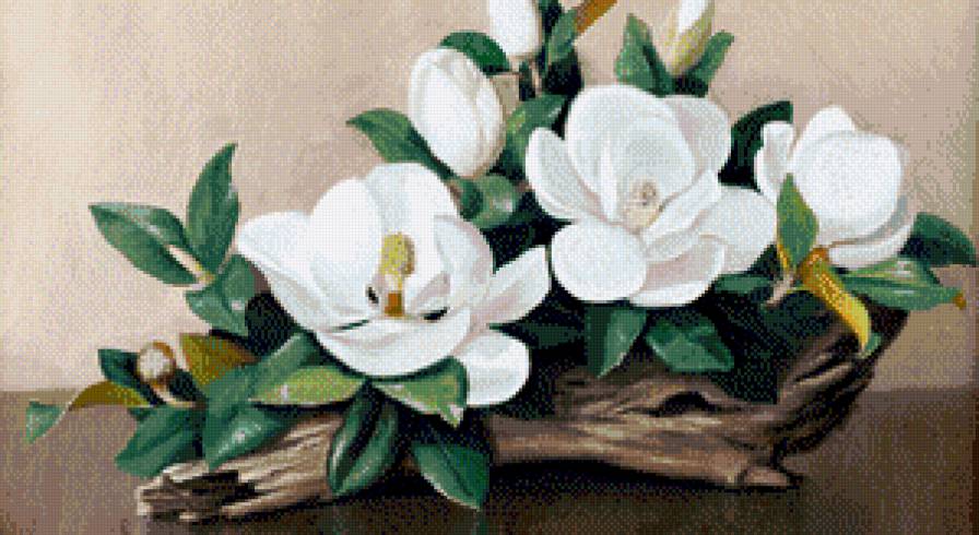 натюрморт с магнолией - натюрморт, картина, цветы, картины - предпросмотр