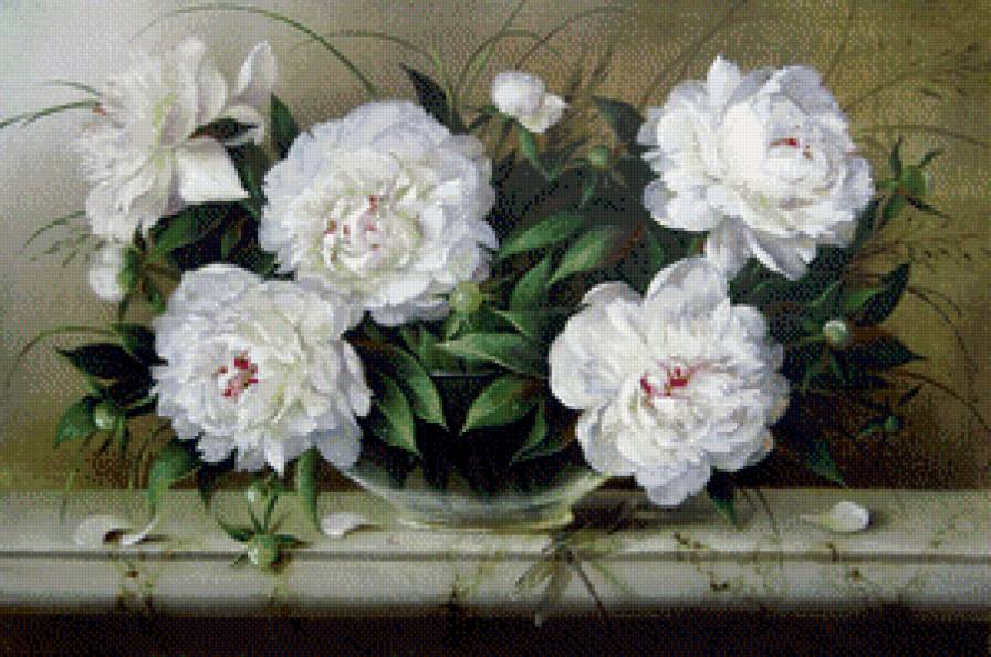 пионы - картина цветы - предпросмотр