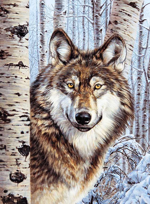 Волк - снег, зима, животные - оригинал