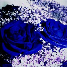 Схема вышивки «розы»