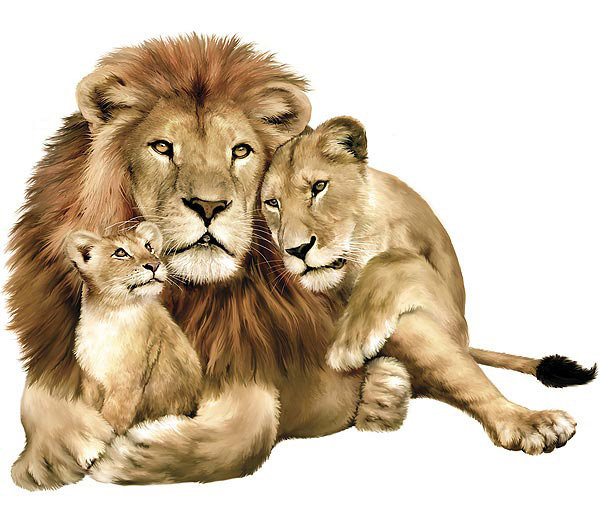 семья лев львица и львенок - оригинал
