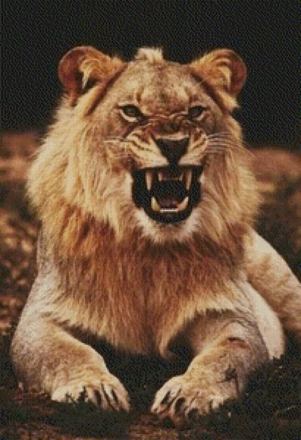 лев! - предпросмотр