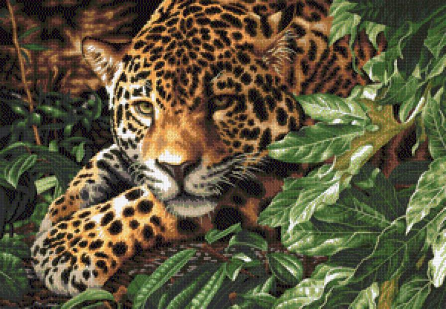 №546879 - кошки - предпросмотр