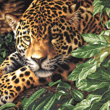 Схема вышивки «№546879»