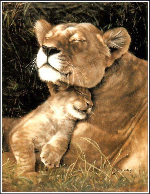 №546888 - кошки - оригинал