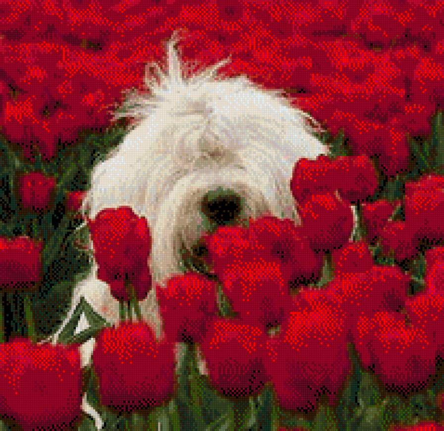 Заблудился - предпросмотр