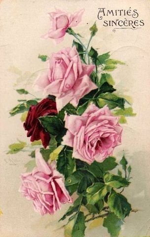 №547047 - цветы, розы - оригинал