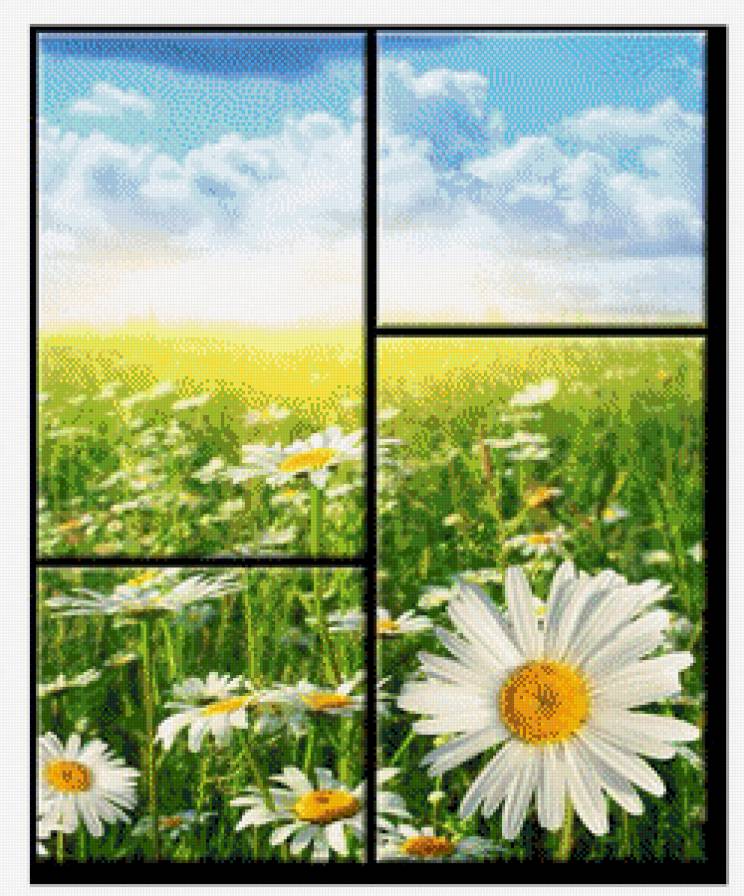 №547058 - триптих, ромашка, поле - предпросмотр