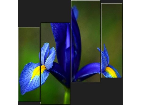 №547059 - цветы, триптих - оригинал