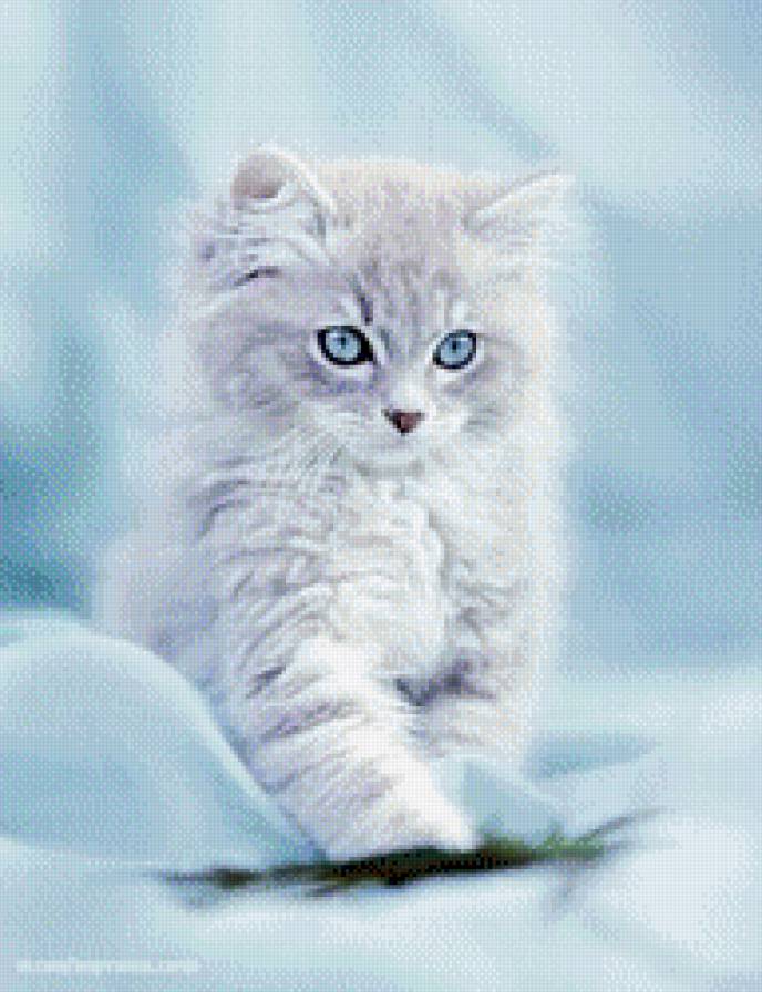 №547066 - котенок - предпросмотр