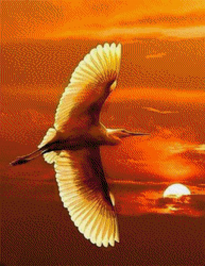 №547070 - закат, птицы - предпросмотр