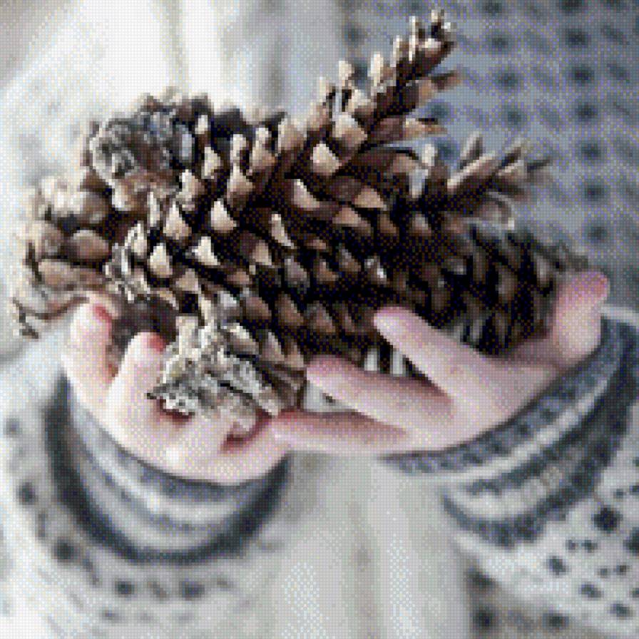 №547084 - шишки - предпросмотр