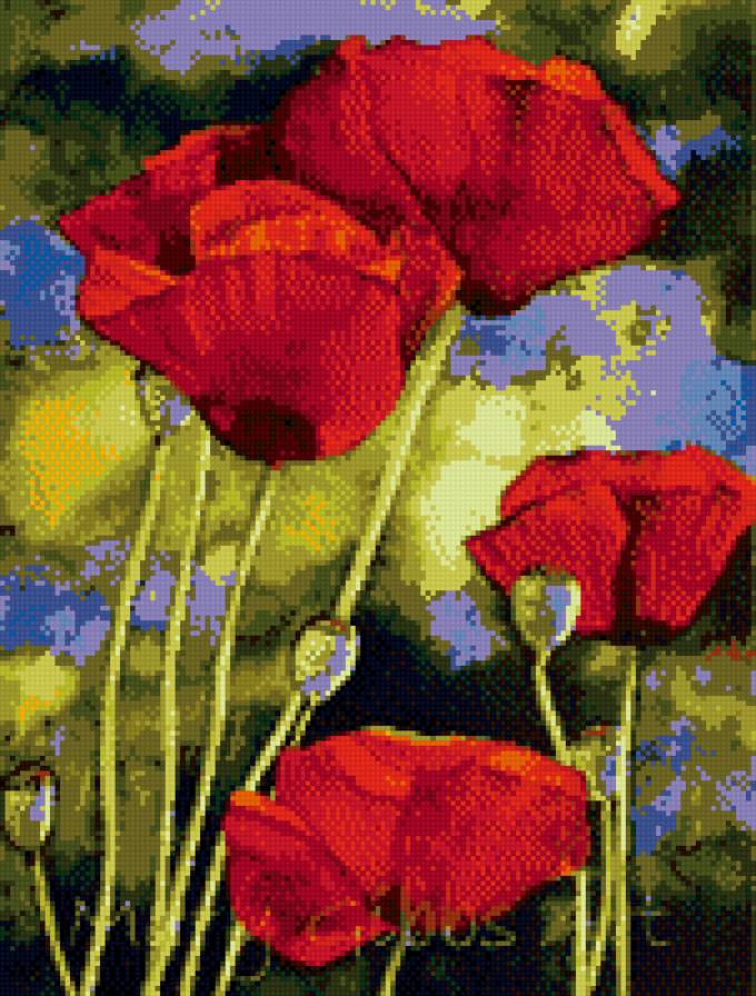 акварель - маки, красные - предпросмотр