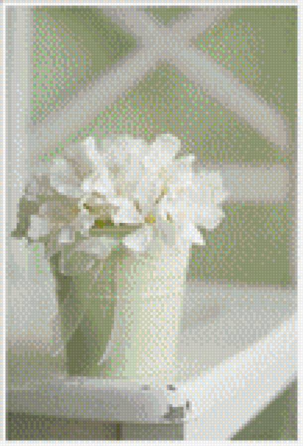 Белые цветы - нежность, цветы, букет - предпросмотр