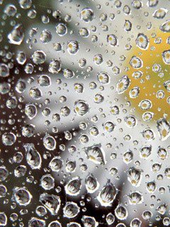 №547390 - капли, ромашка - оригинал