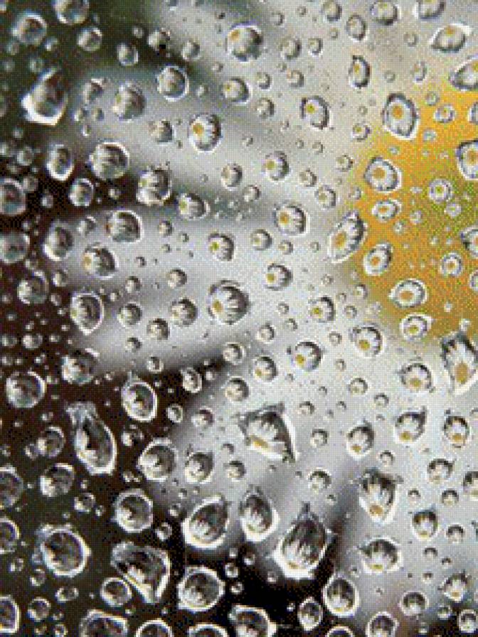 №547390 - ромашка, капли - предпросмотр