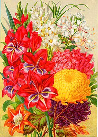 цветы - цветы - оригинал