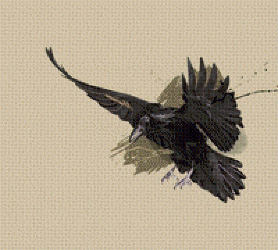 Ворон - ворон - предпросмотр