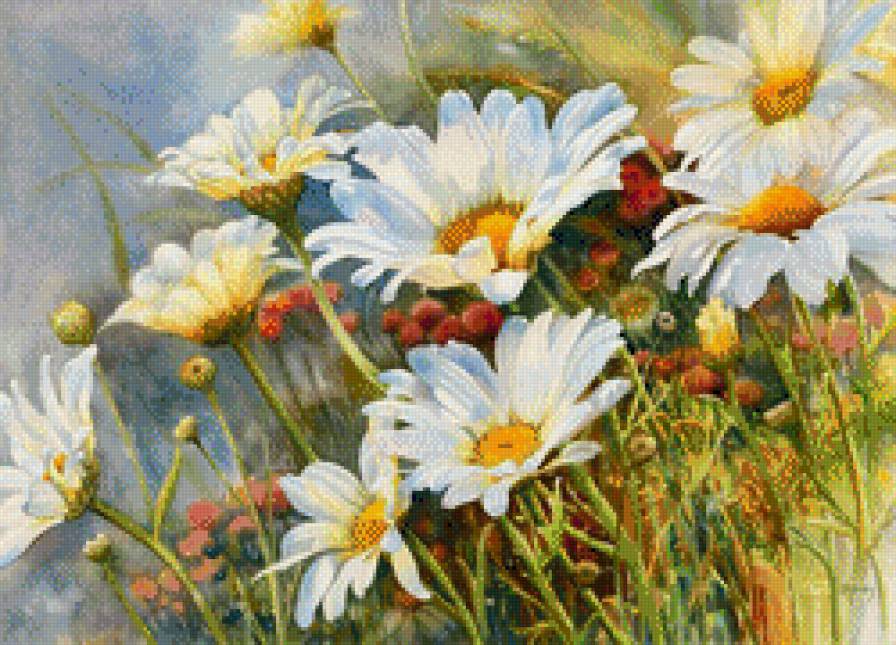 Ромашки - ромашкт - предпросмотр