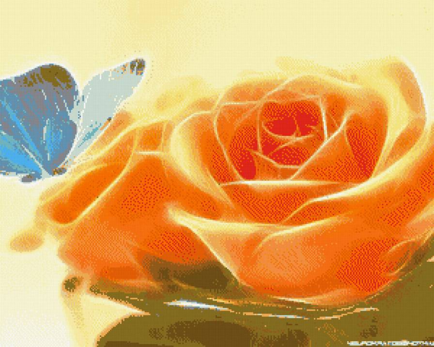 №547561 - розы - предпросмотр