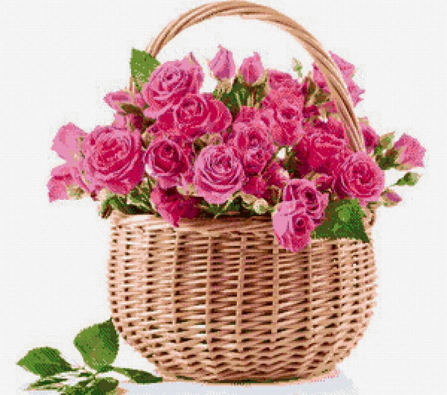 №547604 - розы - предпросмотр