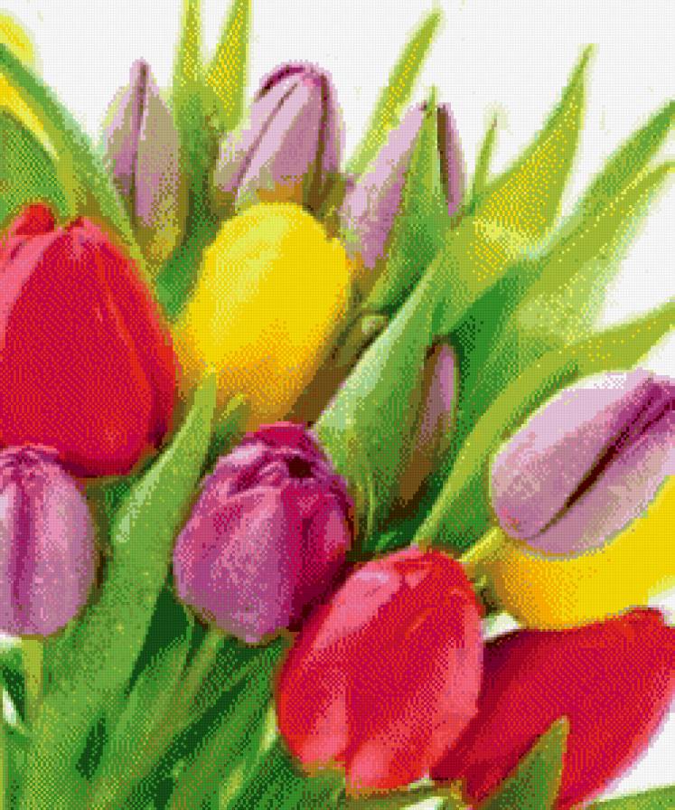 №547633 - цветы - предпросмотр