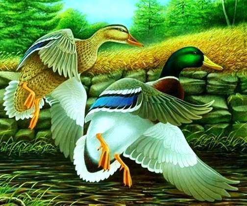 №547674 - животные, птицы - оригинал