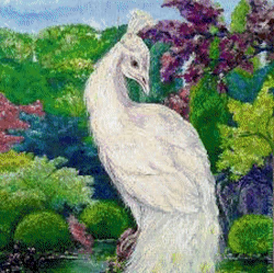 Белый павлин - предпросмотр