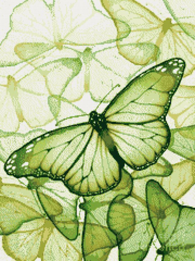 бабочка - бабочки, бабочка - предпросмотр