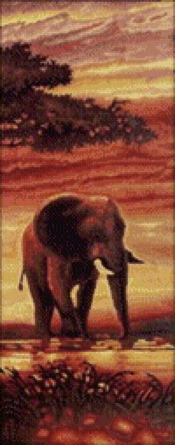 Триптих слоны 3 часть - слоны, триптих, природа - предпросмотр