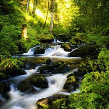 Оригинал схемы вышивки «Green Forest Running Water Landscape» (№548139)