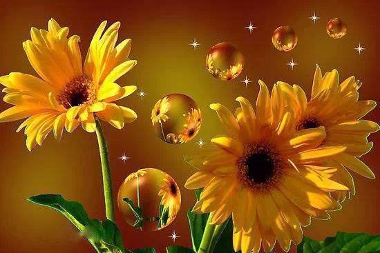 virágcsendélet - sárga virágok - оригинал